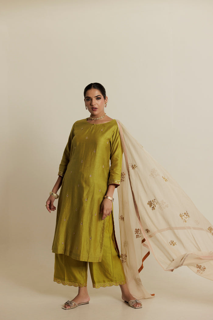 JAMINI Embroidered Kurta Set