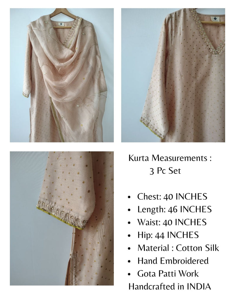Beige Gota Patti Hand Embroidered Suit with Dupatta